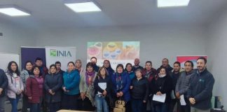 Buscan potenciar la inocuidad en la elaboración de quesos artesanales en Chiloé