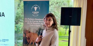 Carne bovina de Los Lagos se consolida como referente de calidad y sostenibilidad en destacado seminario regional