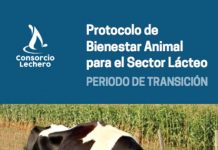 Comité de Bienestar Animal del Consorcio Lechero: presentan Protocolo de Bienestar Animal para período de transición en vacas lecheras