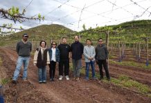 Compradores de importante supermercado chino visitan Chile con el fin de aumentar la presencia de productos chilenos en sus tiendas