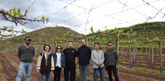 Compradores de importante supermercado chino visitan Chile con el fin de aumentar la presencia de productos chilenos en sus tiendas