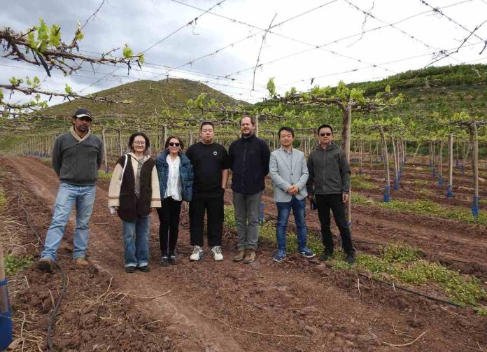 Compradores de importante supermercado chino visitan Chile con el fin de aumentar la presencia de productos chilenos en sus tiendas