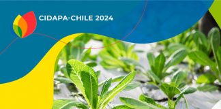 El SEMINARIO INTERNACIONAL DE PLÁSTICOS EN LA AGRICULTURA CIDAPA CHILE 2024 se realizará por primera vez en la ciudad de Ñuble, del 03 al 04 de octubre de 2024
