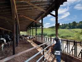 Cada vez más presente en la agricultura, la tecnología de corte por plasma puede aportar ahorro y productividad a las propiedades rurales 