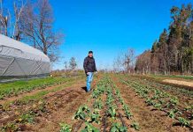 Futuro campesino: el retorno de la juventud rural a sus raíces