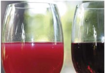 Inédito clarificante de vinos y rescate de toneladas de cáscaras entre las novedades de Expo Chile Agrícola