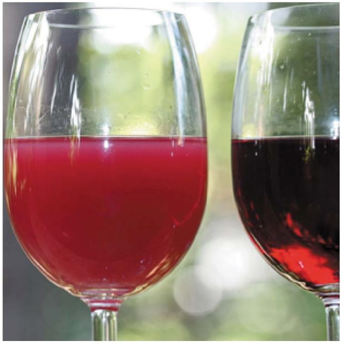 Inédito clarificante de vinos y rescate de toneladas de cáscaras entre las novedades de Expo Chile Agrícola