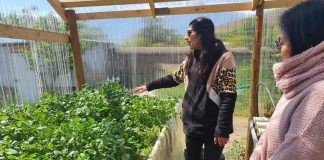 Inician programa de fortalecimiento de Agroemprendimientos liderados por mujeres en la Provincia de Petorca