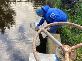 Investigadores UdeC avanzan en proyecto para identificar origen de contaminación fecal humana y de animales en agua de uso múltiple