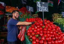 Ministerio de Agricultura realiza positivo balance de Fiestas Patrias y anticipa buena temporada de frutas