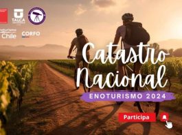 Participa en el 4to Catastro Nacional de Enoturismo Chile: ¡Sé parte del desarrollo estratégico del sector!