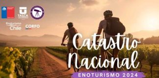 Participa en el 4to Catastro Nacional de Enoturismo Chile: ¡Sé parte del desarrollo estratégico del sector!