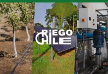 RiegoChile, líder en sistemas de riego de alta tecnología, impulsa la innovación en la agricultura chilena.