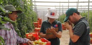 SAG superó las 50.000 fiscalizaciones en 2023 para resguardar la seguridad sanitaria y el comercio silvoagropecuario