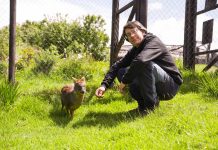 Se abren las postulaciones para encontrar a los Nuevos Héroes que sucederán al “Doctor Pudú”