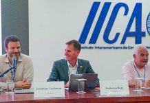 fortalecer ecosistemas de innovación para potenciar desarrollo y uso de soluciones digitales en el agro de las Américas