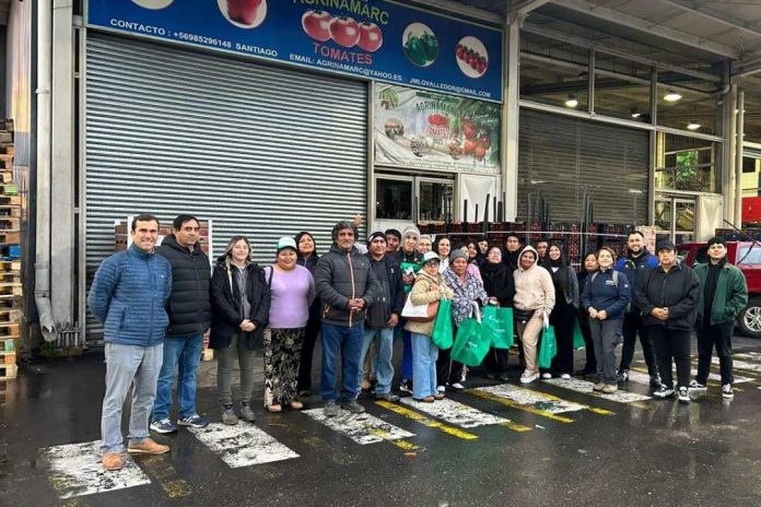 Agricultores ariqueños exploran nuevos mercados para vender sus hortalizas en Santiago