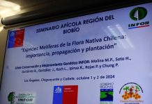Apicultores del Biobío fueron parte de seminario para conocer implicancias de la nueva Ley y Reglamento Apícola