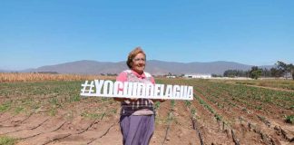 CNR invita a pequeños agricultores del Norte Chico a postular a concurso de la Ley de Riego para proyectos no seleccionados