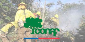 CONAF define su cuerpo directivo para una nueva etapa de desafíos