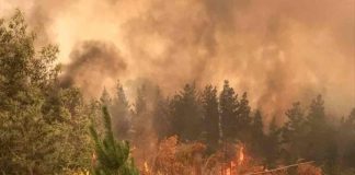 CONAF envía a Bolivia helicóptero para combatir incendios forestales