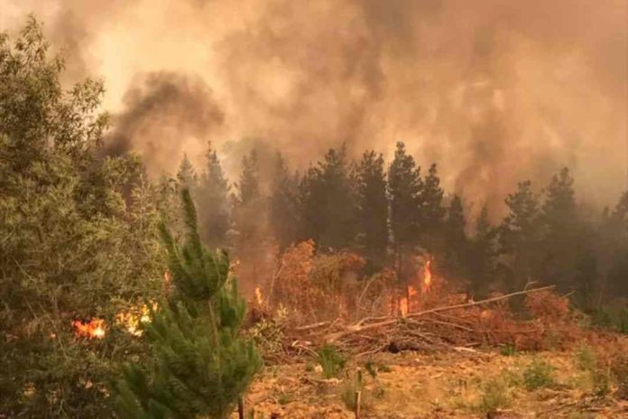 CONAF envía a Bolivia helicóptero para combatir incendios forestales