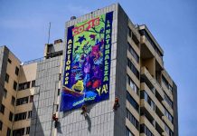 COP 16: A días del inicio de la Cumbre de Biodiversidad en Sudamérica, Greenpeace hace un llamado urgente por la naturaleza