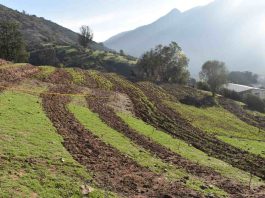 Centro Ceres desarrolla diseño hidrológico para captura y almacenamiento de agua en sistemas agrícolas de secano Centro Ceres desarrolla diseño hidrológico para captura y almacenamiento de agua en sistemas agrícolas de secano