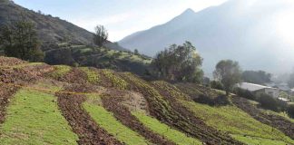 Centro Ceres desarrolla diseño hidrológico para captura y almacenamiento de agua en sistemas agrícolas de secano
