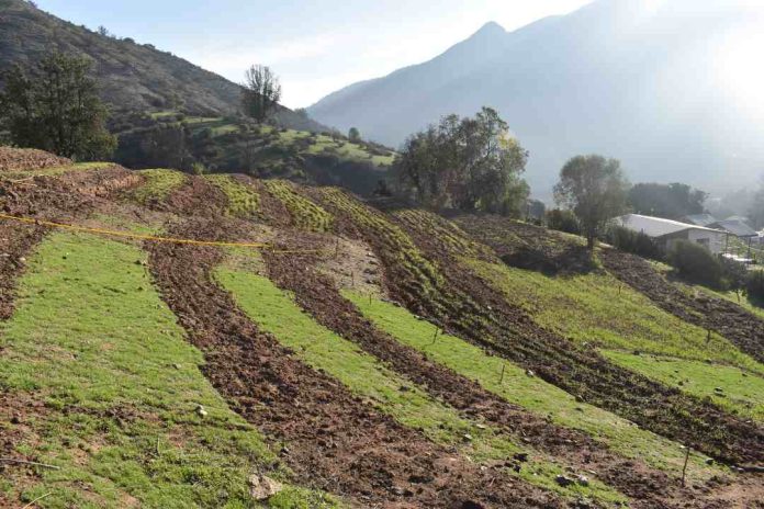 Centro Ceres desarrolla diseño hidrológico para captura y almacenamiento de agua en sistemas agrícolas de secano