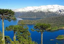 Conaf y Copec establecen alianza para potenciar el turismo nacional Conaf y Copec establecen alianza para potenciar el turismo nacional