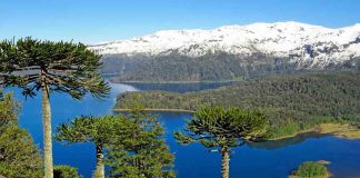 Conaf y Copec establecen alianza para potenciar el turismo nacional