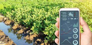 Corfo abre convocatorias para entregar 584 becas de especialización en el sector Agrícola y Silvoagropecuario