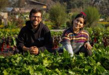 De Huerta a la Raíz: Se conocieron en Australia y volvieron juntos a Chile para producir hortalizas agroecológicas