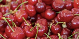 Desafíos y expectativas de la temporada de cerezas en Fruittrade 2024