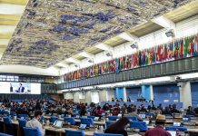Comité de Agricultura de FAO aprueba propuesta de Chile para contar con un "Día Internacional de las Frutas y Verduras"