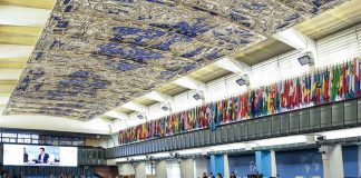 Comité de Agricultura de FAO aprueba propuesta de Chile para contar con un "Día Internacional de las Frutas y Verduras"