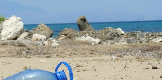 En el día mundial de limpieza de playas Goodyear y sus colaboradores se movilizan