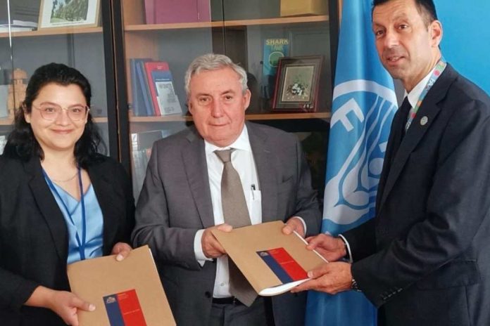 En la FAO, Roma, Ministerio de Agricultura entregó los expedientes para postular dos sistemas agrícolas patrimoniales de Chile al reconocimiento SIPAM de la FAO