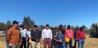 Estudio refleja el impacto del PTI AgroTerritorio de Corfo en el desarrollo agropecuario del Secano Costero de O´Higgins
