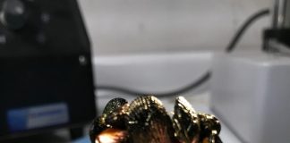 UCN lidera innova investigación para crear arrecifes artificiales y restaurar ecosistemas marinos
