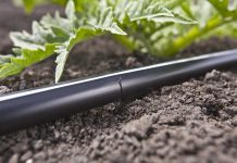 Guías de Riego por Goteo en español revolucionan la agricultura