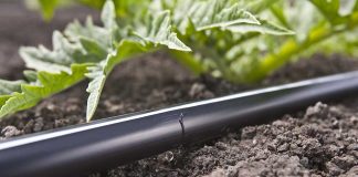 Guías de Riego por Goteo en español revolucionan la agricultura