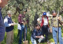 INIA capacita sobre estrategias de adaptación al cambio climático