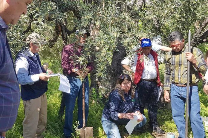 INIA capacita sobre estrategias de adaptación al cambio climático
