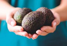 La palta en el mundo: desafíos y oportunidades que enfrenta la industria
