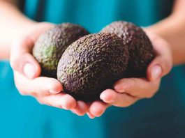 La palta en el mundo: desafíos y oportunidades que enfrenta la industria