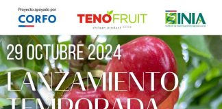 Lanzamiento Temporada Cerezas Primores 2024:  "De Ovalle al Mundo"