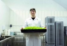 Ley I+D: Un Incentivo Clave para la Innovación Empresarial en Chile