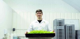 Ley I+D: Un Incentivo Clave para la Innovación Empresarial en Chile